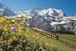 Jungfraubahn - Jungfraujoch - Top of Europe