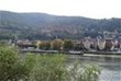 Blick auf  Schloß Heidelberg