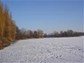 Steinhäuserwühlsee im Winter