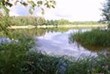 unberührte Natur am Steckelsdorfer See