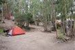 Campen im Eukalyptuswald - eher sandig, eher sehr einfach ...