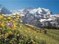 Jungfraubahn - Jungfraujoch - Top of Europe