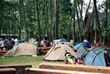 www.campingmarina.pl
TENT FIELD - POLE NAMIOTOWE
ZELT PLATZ