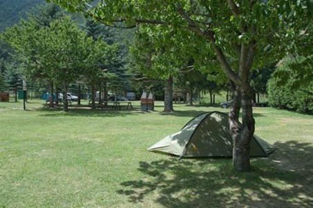 Homepage www.campinggranbosco.it