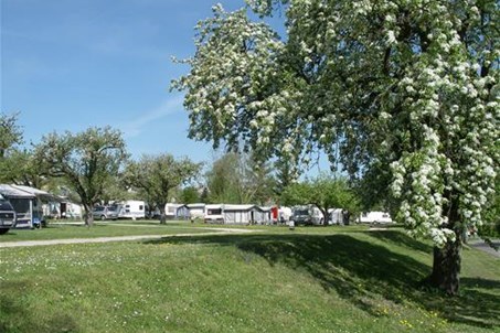 Obstblüte im Campinggarten.