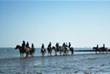 Paardrijden langs het strand