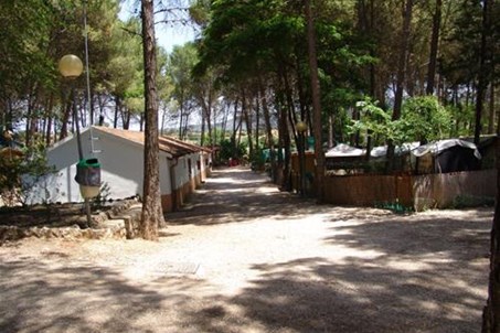 Homepage http://www.campingsacedon.com