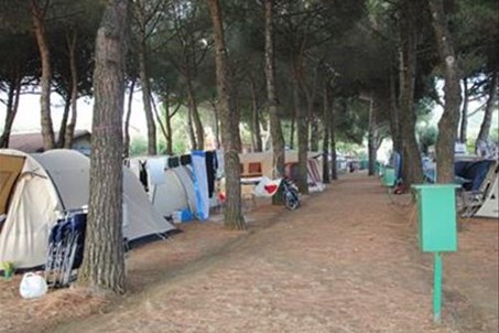 Homepage www.campingedenpark.com