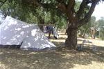 Camping municipal Al Comu  