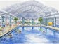 Artists impression of the new 2015 pool
