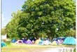 © Homepage www.camping-relax.com.pl