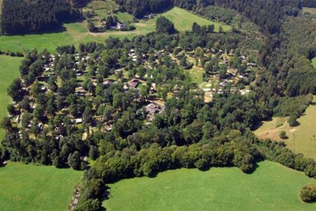 Eichenwald in der Landschaft