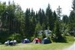 Schöne Schattenplätze für Zelte am Waldrand
