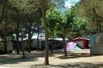 Camping los Pinos