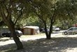 © Homepage www.camping-lespins-oleron.com