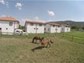 Horse Ranch Tefenni Villas