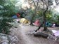 Pole namiotowe na Campingu