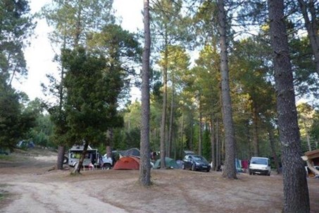 Homepage http://www.camping-riviere-zonza.com