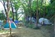 Camping Lido Riccio - Boschi