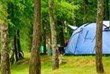 Emplacements pour tentes en pleine nature