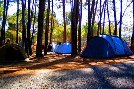 Homepage http://www.campingsaomiguel.com