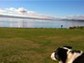 our dog certainly enjoys the view!!!