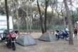 Lugar de acampada, llano y con sombras