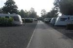 Rowntree Park Caravan Club Site