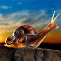 Profilbild snailie