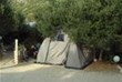 Campen im Olivenbaum