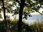 Blick vom Platz auf den Gardasee.
Jeden Morgen ein Traum