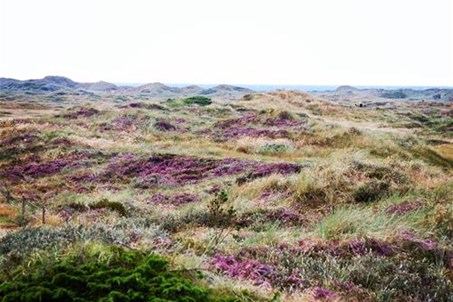 Der Weg zur Nordsee führt durch die Düne und ist leicht zugänglich.