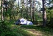 ein idyllischer Zeltplatz im lichtzen Wald