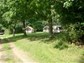Ein Blick durch den Wald zu unserem Ferienhausgebiet mit 4-, 5- und 6-Personen-Hütten