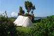 A secluded camping pitch with palm trees, wild flowers and a stunning view.