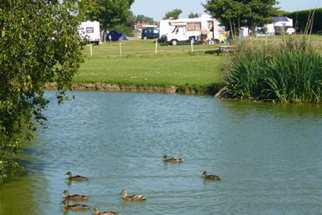 Duck Pond and Site