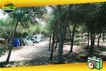 Camping Villaggio LI NIBARI