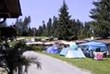 © Homepage www.camping-brenzikofen.ch