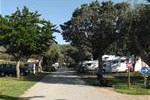 Camping Les Oliviers  