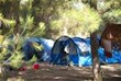 Tent (guest)