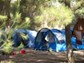 Tent (guest)