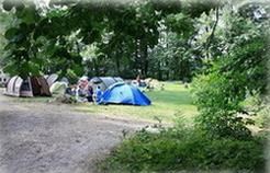 http://www.campingplatzdahmsdorf.de/ueberuns.php?aktiv=20