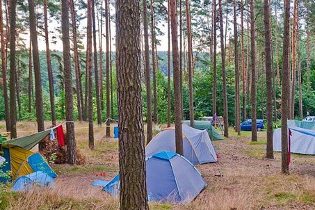 http://www.campingplatz-am-roofensee.de/de/impressionen.html