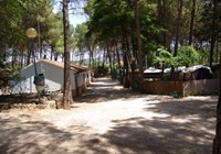 Camping Sacedón