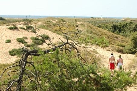 accès à la plage par les dunes (400m)