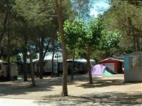 © Homepage www.campinglospinos.com
