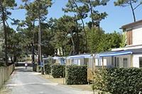 © Homepage www.camping-lespins-oleron.com