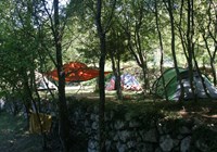 Camp Full Monte