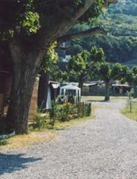 © Homepage www.campingroma.it