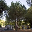 www.campingpaduella.com